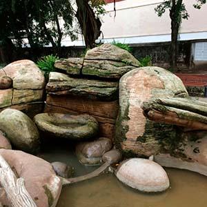 Casa De Rui Barbosa - Recuperação De Jardim Histórico