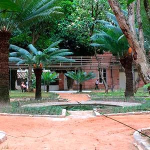 Casa De Rui Barbosa - Recuperação De Jardim Histórico