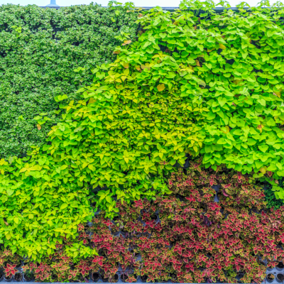 Jardins Verticais